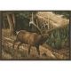 Custom Printed Rugs Rug, Elk, ELK