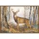 Custom Printed Rugs Rug, Whitetail Deer, WHITETAIL