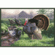 Custom Printed Rugs Rug, Wild Turkey TURKEY