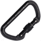 Cypher D Screw Gate Carabiner Black