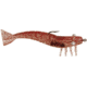 D.O.A. Shrimp Lures