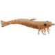 D.O.A. Shrimp Lures