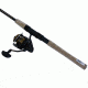 Daiwa BG 2500 Spinning Rod and Reel Combo, 7ft, Medium to Medium Light, 1 Piece, BG2500/701MML