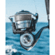 Daiwa Certate SW G 10000 Spinning Reel, 5.8-1, 8+1, CERTATESWG10000-H