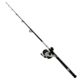 Daiwa D-Wave Saltwater Rod and Reel Combo - 1BB, 9ft, Medium, 2 Pieces, DWB50-B/F902M