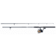 Daiwa D-Wave Saltwater Rod and Reel Combo - 2BB, 9ft, Medium, 2 Pieces, DW50F902M