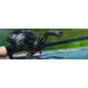Daiwa Steez CT SV Baitcast Reel, 8.1-1, 12+1, Left, STZCTSV70XHL