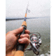 Daiwa TD Sol Inshore Rod, Medium-Light, Fast, Spin, 8-17lb, 76, TDSOL76MLFS