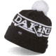 Dakine Da Team Beanie, Black, One Size, 10002107-BLACK-91M-OS