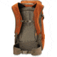 Dakine Heli Pro 24L - Mens, Ginger, One Size, 10001472-GINGER-91M-OS