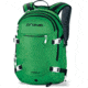 Dakine Pro II 26 L Backpack-Green