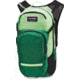 Dakine Session 16L, SUMMER GREEN / FIR, OS, 10001200-SM/I