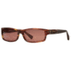 Dakota Smith Impulse SEDS IMPU06 Sunglasses - Brown SEDS IMPU065935 BN