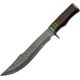 Damascus Exotic Damascus Bowie Knife, 10 Damascus steel bowie blade, Exotic wood handle with red, green, and brass spac, DM-1240