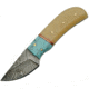 Damascus Fixed Blade Turquoise Fixed Blade Knife, 2in, Damascus Steel, Standard Edge, White, Bone Handle DM1146TR