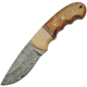 Damascus Hunter Fixed Blade Knife, 3.5in, Damascus Steel, Standard Edge, Bone and Walnut Handle DM1144