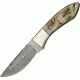 Damascus Hunter Fixed Knife, Damascus Steel Drop Point Blade, Rams horn Handle DM1050RM