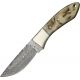 Damascus Hunter Fixed Knife, Damascus Steel Drop Point Blade, Ram's horn Handle DM1050RM