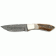 Damascus Hunter Fixed Knife, Damascus Steel Drop Point Blade, Stag Handle DM1050SG