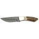 Damascus Hunter Fixed Knife, Damascus Steel Drop Point Blade, Stag Handle DM1050SG
