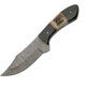 Damascus Skinner Buffalo Stag
