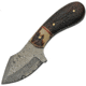 Damascus Skinner Damascus Stag Knife, 2.75 Damascus steel blade, Jigged wood and stag handle with red pakkawood acc, DM-1229