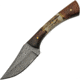 Damascus Skinner Stag Bone Knife, 3 Damascus steel skinner blade, Stag bone and brown wood handle, DM-1269