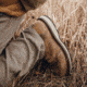 Danner Cedar River Moc Toe Hunter 8in Shoes - Mens, Regular, Timberwolf, 9, 14304-9D