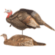 Dave Smith Decoys Breeding Pair Decoy, Black 87106