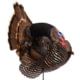 Dave Smith Decoys Jake Strutter Decoy, Standard, JST