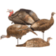 Dave Smith Decoys Turkey Flock, Black 87107