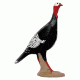 Delta McKenzie Backyard 3D, Alert Turkey 51440