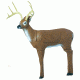 Delta McKenzie Backyard 3D, Challenger Deer 50455