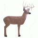 Delta McKenzie Bloodline Buck, 3D Deer Target X-Large 51490
