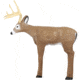 Delta McKenzie Blemished Intruder Deer 3D Archery Target, Brown, 50460-BLEM