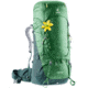 Deuter Aircontact 60 + 10 SL Backpack - Womens, Leaf/Forest, 70L, 332041922380