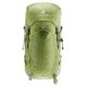 Deuter Trail Pro 36 Backpack, Meadow-Graphite, 344132324460