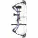 Diamond Edge SB-1 Bow Package, Purple Blaze 70 lb. LH A12701