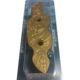 DNZ Products Fin Cleat - Docking &amp; Anchoring Equipment - Crab, Gold, FC04G
