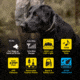 Dogtra 1900X Remote Collar 1-Dog Unit