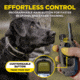 Dogtra 1900X Remote Collar 1-Dog Unit