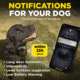 Dogtra Smart Nobark Collar