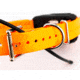 Dogtra Pathfinder, Orange, PATHFINDER TRX RX ORANGE