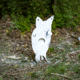Double Tap Industries Front Facing AR500 Coyote Target w/Reactive Vital, Raw, RT-GT-COY-002