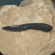 DoubleStar DSC Brimstone Black Blade/G10 Folding Knife, Black Blade and Handle, DSKI100-BLK