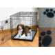 Drymate Crate or Kennel Pad, Paw Print Design, Tan, 20 x 28 CKPT2028AP