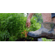Dryshod Legend Ankle Boot - Mens, Khaki/Timber, 10, LGD-MA-KH-010