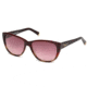 DSquared DQ0080 Sunglasses - Bordeaux Frame Color