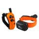 DT Systems R.A.P.T. 1450 Upland Beeper Training Collar