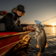 Duckett Fishing Wall Hanger Glide Hard Bait